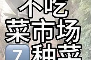 开云全站app官方网站入口截图3